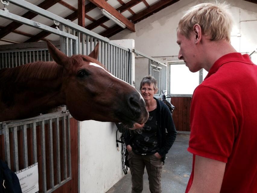 Dansk Varmblod Storgaardens Rialto - "Giver du lige et kys?" Alto er vidst vild med min lillebror :) billede 15