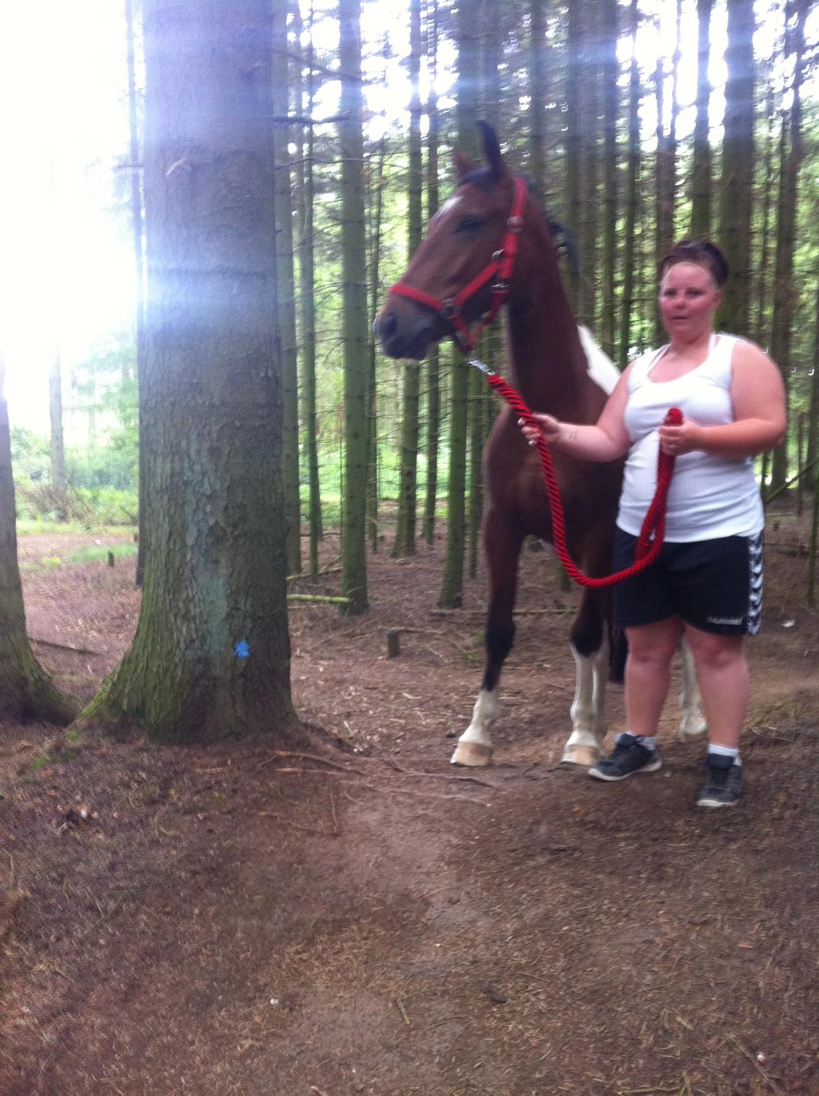 Anden særlig race Sputnik billede 14