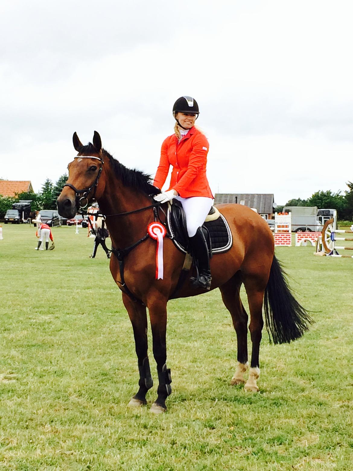 Hollandsk Varmblod Quiben Z - Vinder hesten billede 12