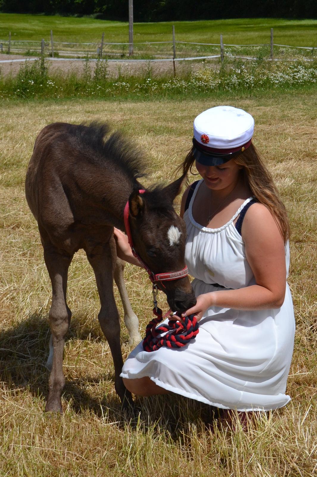 New Forest Fuglsangs Sweet Cookie - Student 2014. Cookie skulle lige være med :) billede 2
