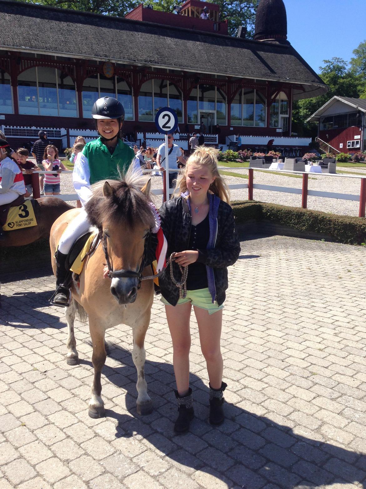 Anden særlig race Nice Suprice (Connie)  - Vindercirklen  billede 2