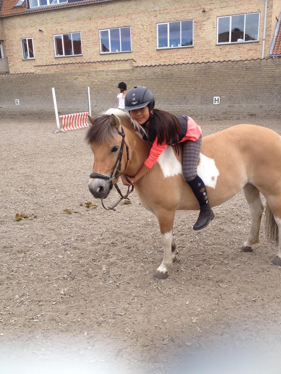 Anden særlig race Nice Suprice (Connie)  - Sødeste Ponyprut <3 billede 1