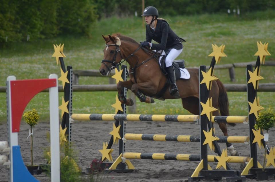 Anden særlig race Clements Penelope - MB1* ' billede 11