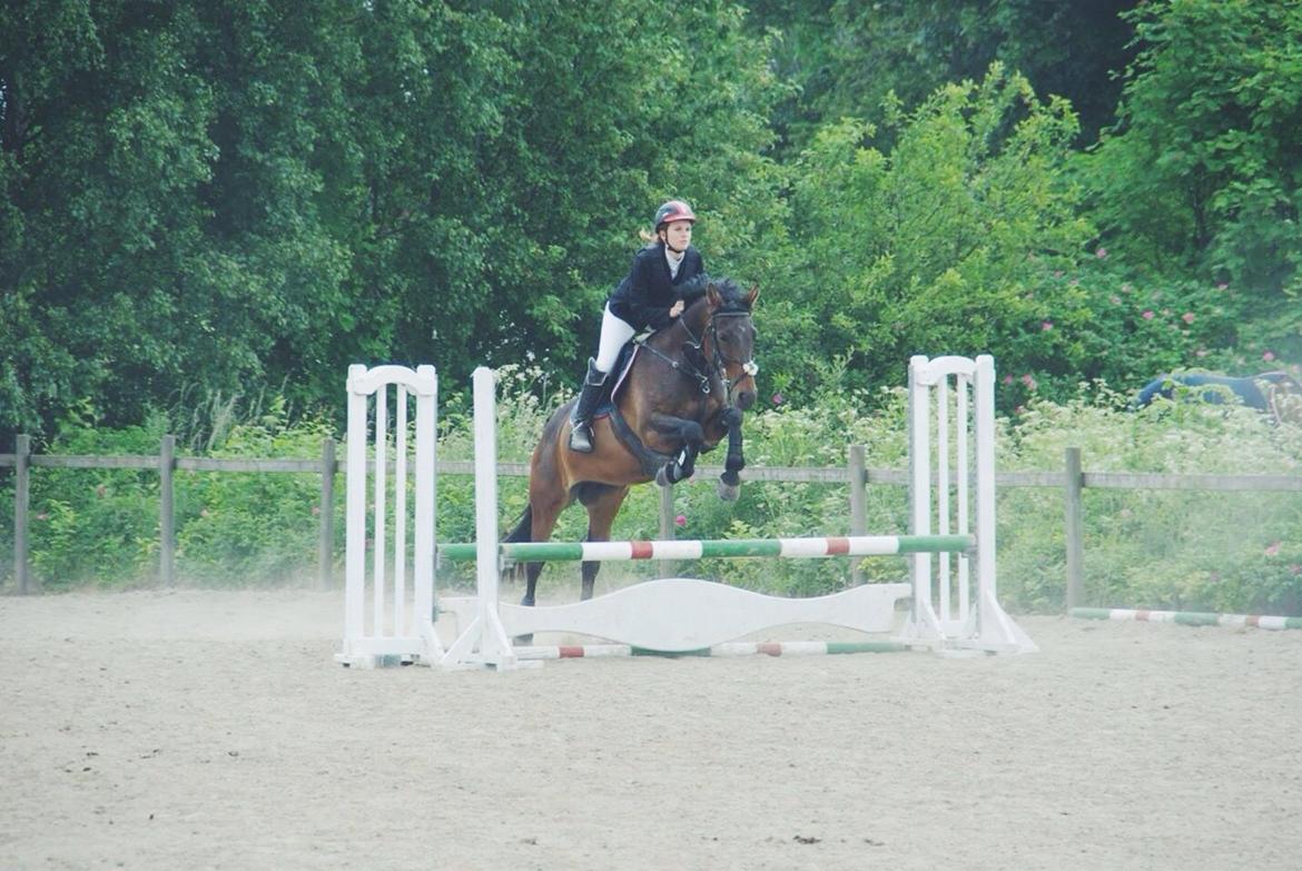 Anden særlig race Washeba billede 11