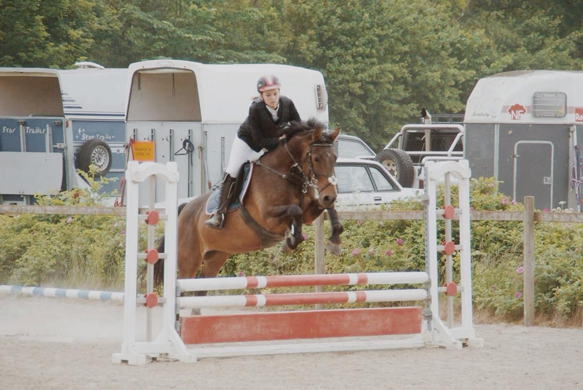 Anden særlig race Washeba billede 2