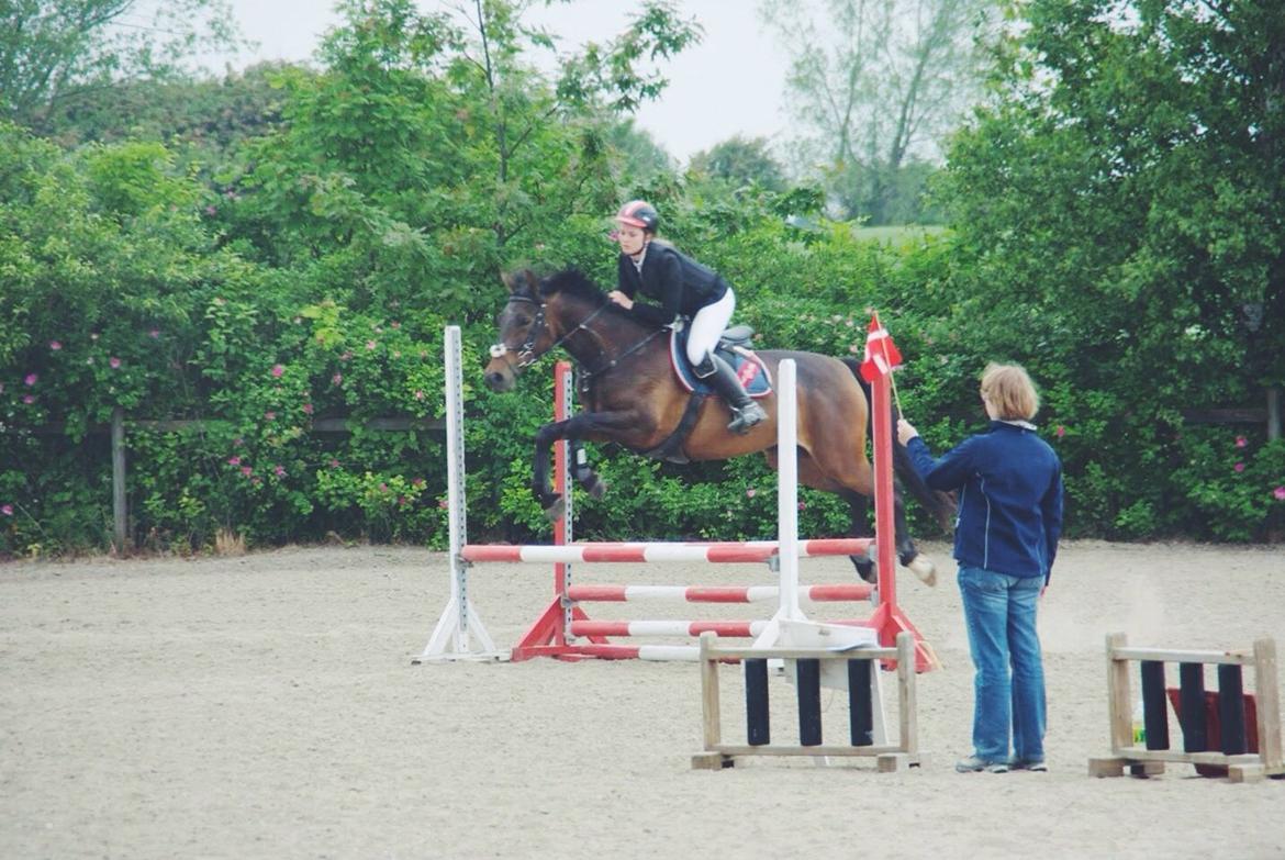 Anden særlig race Washeba billede 3