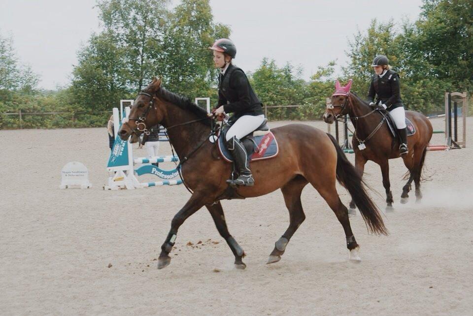 Anden særlig race Washeba billede 4