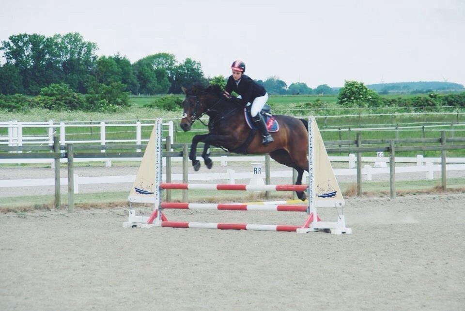 Anden særlig race Washeba billede 5