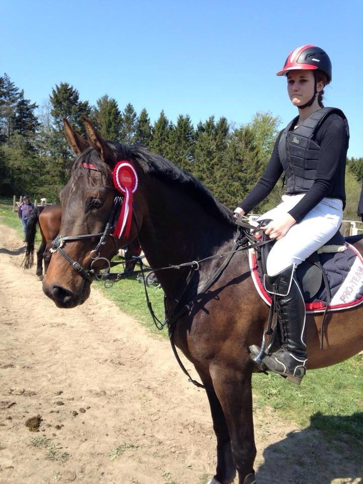 Anden særlig race Washeba billede 7