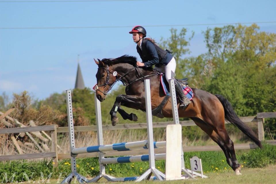 Anden særlig race Washeba billede 8