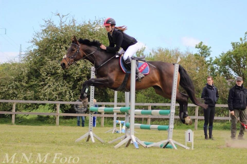 Anden særlig race Washeba billede 10