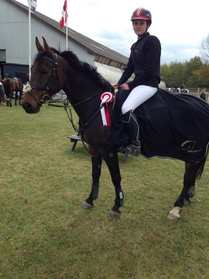 Anden særlig race Washeba billede 13