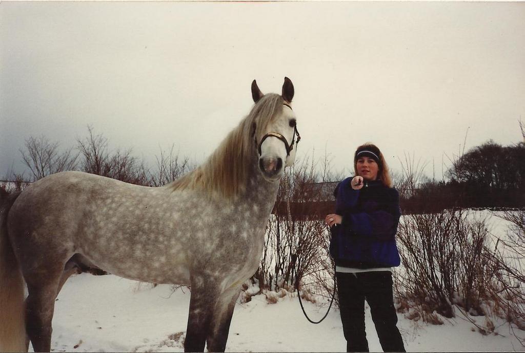 Connemara Teglstrups Duke <3  billede 15