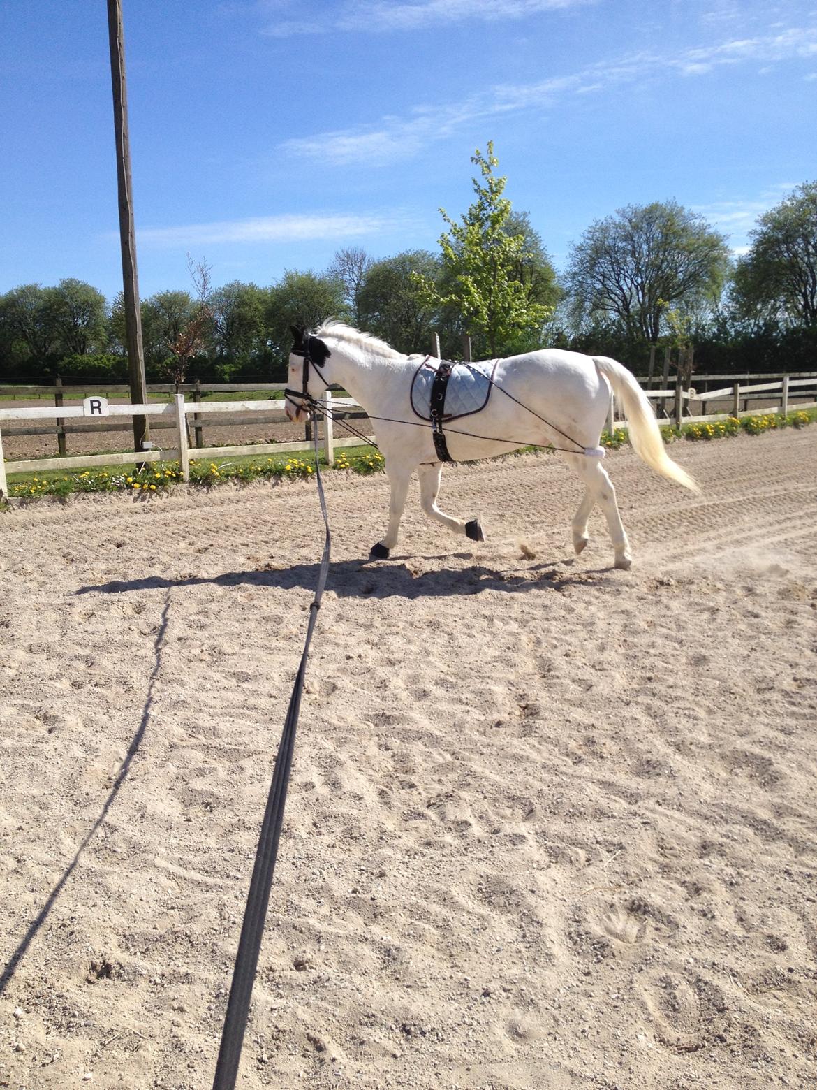 Paint Tophat *Topper* billede 11