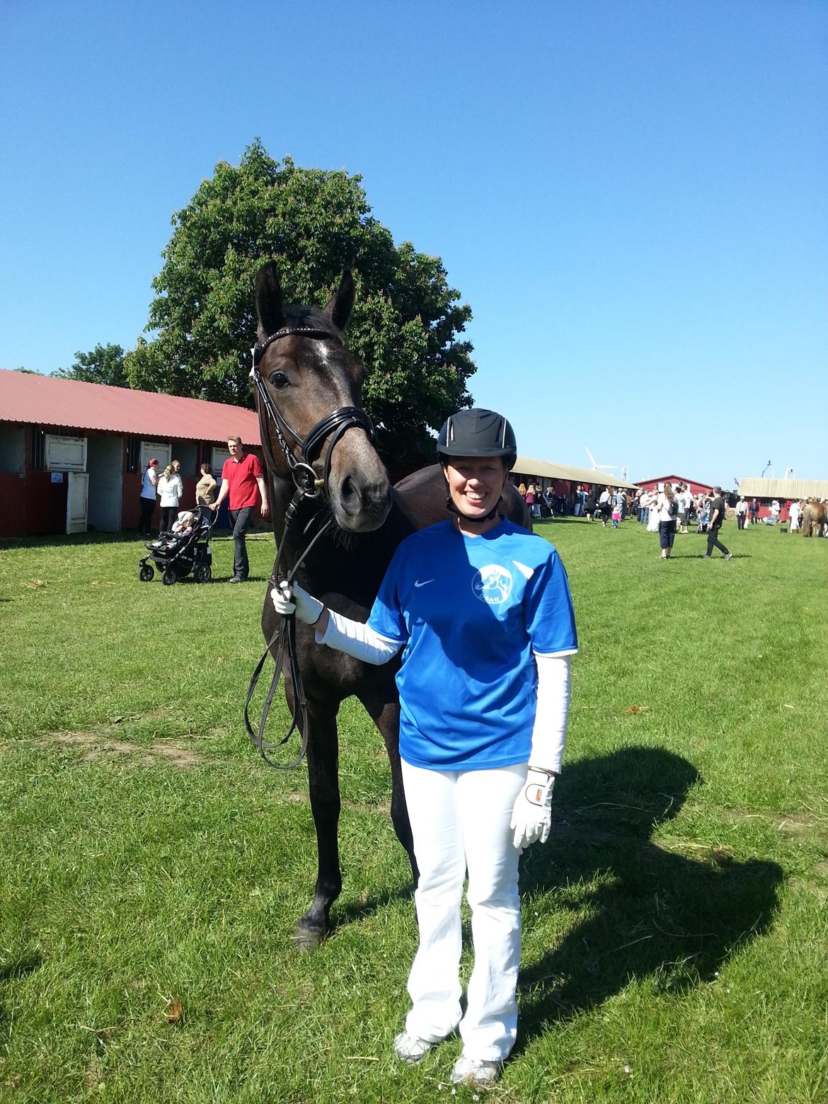 Sportsaraber (A) BS Schanitta billede 16