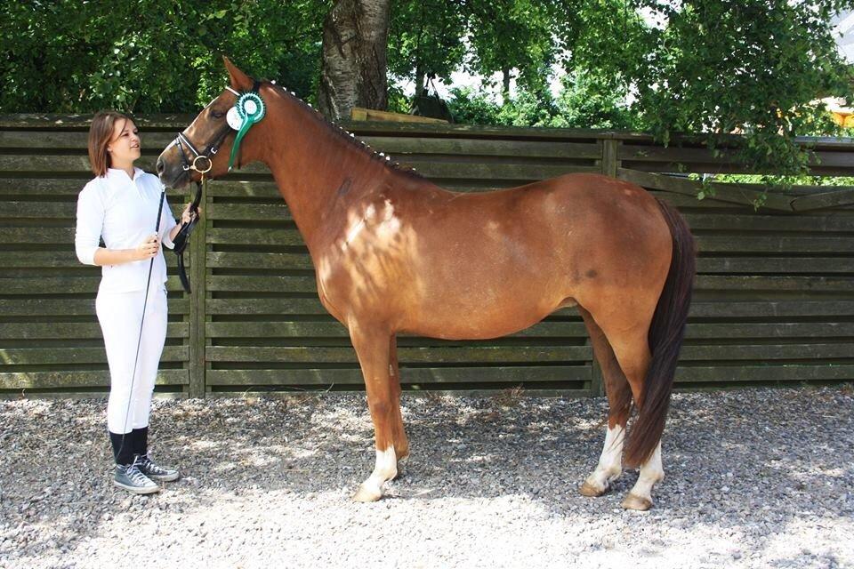 DSP Savannah Amour<3  - Så blev hun officielt en DSP <3 billede 17