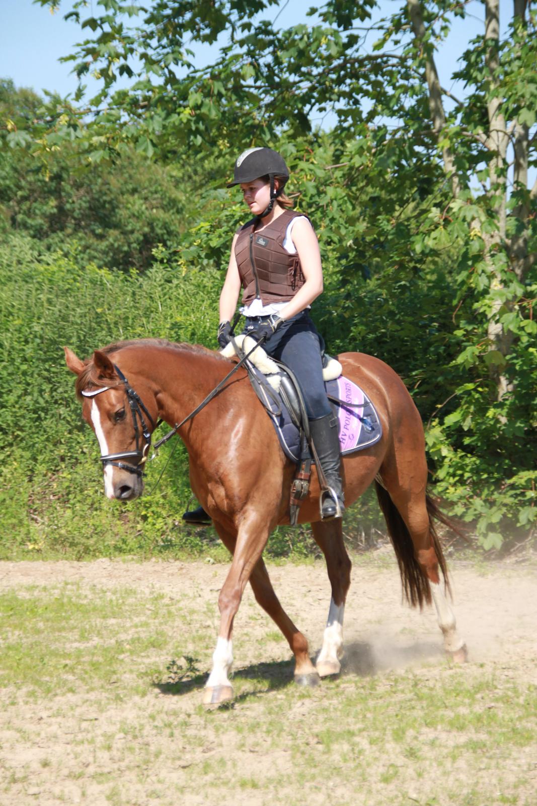 DSP Savannah Amour<3  - Min lille mulle <3 billede 15