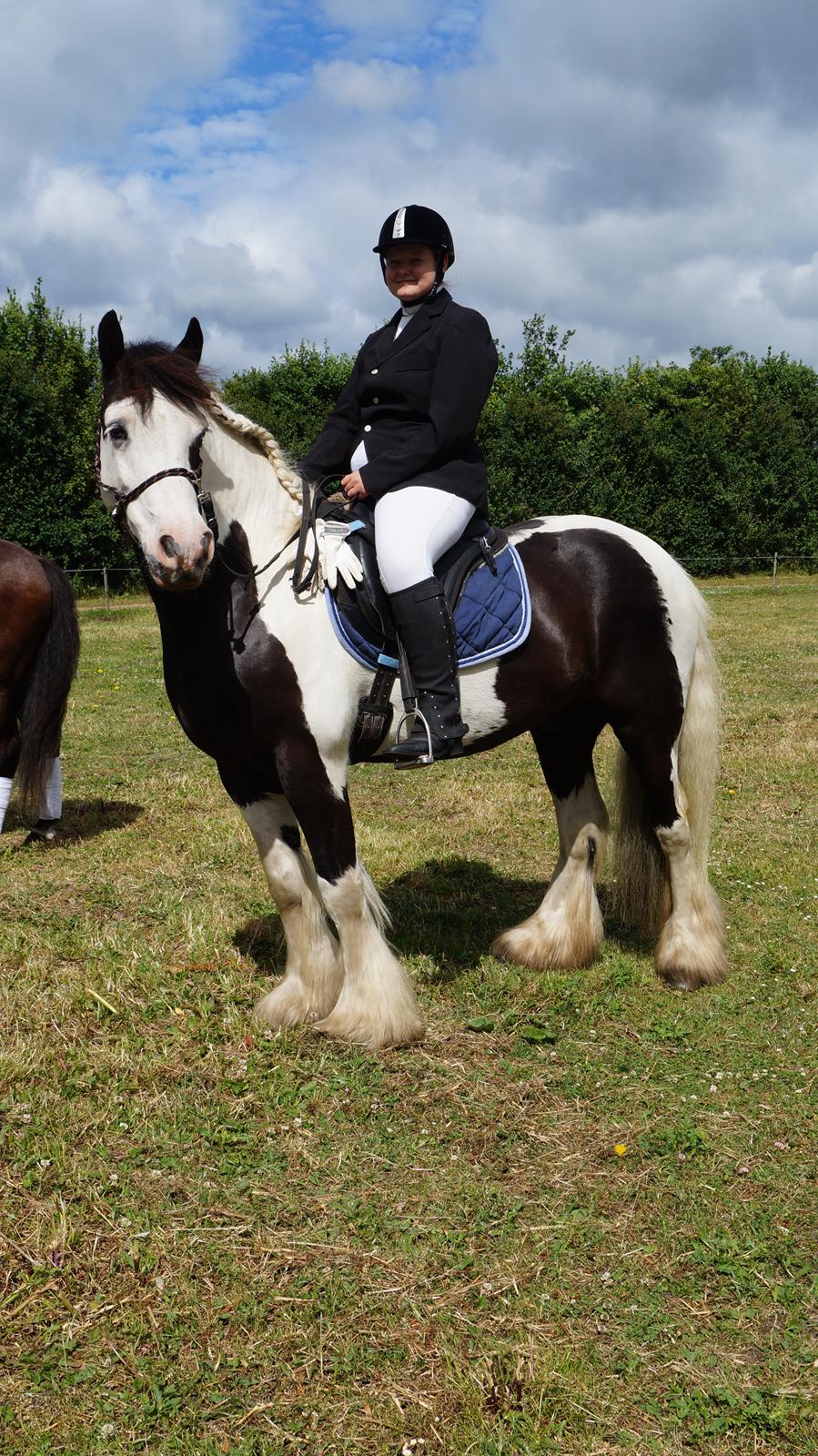 Irish Cob Hidalgo O'hara - Bidløs stævne i sønder omme. billede 12