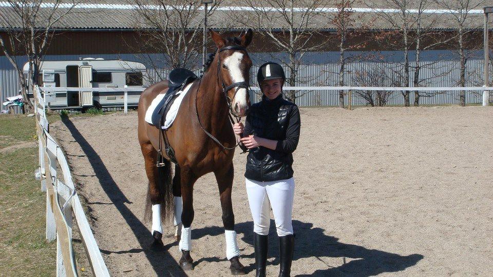 Dansk Varmblod Katholts Queento - Første stævne :) billede 17