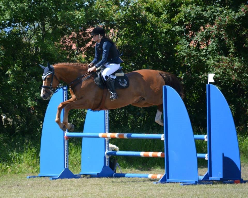 Dansk Varmblod Kærholms Sauer - C-stævne i Løgstør billede 11