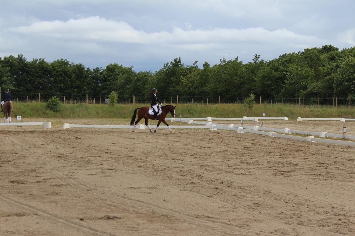 DSP Lassen`s Pay Per View billede 3