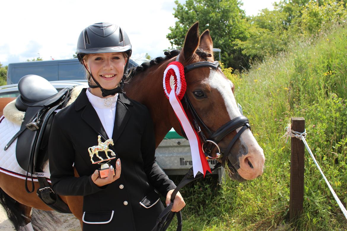 DSP Lassen`s Pay Per View billede 1