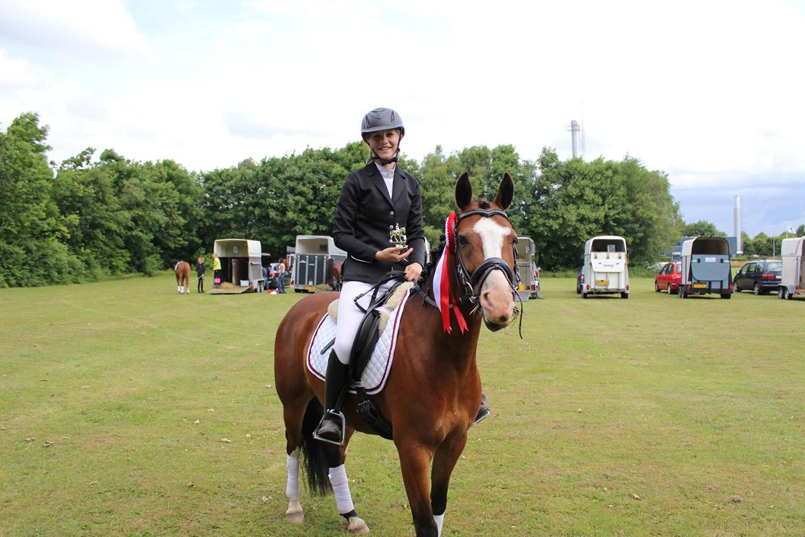 DSP Lassen`s Pay Per View billede 4