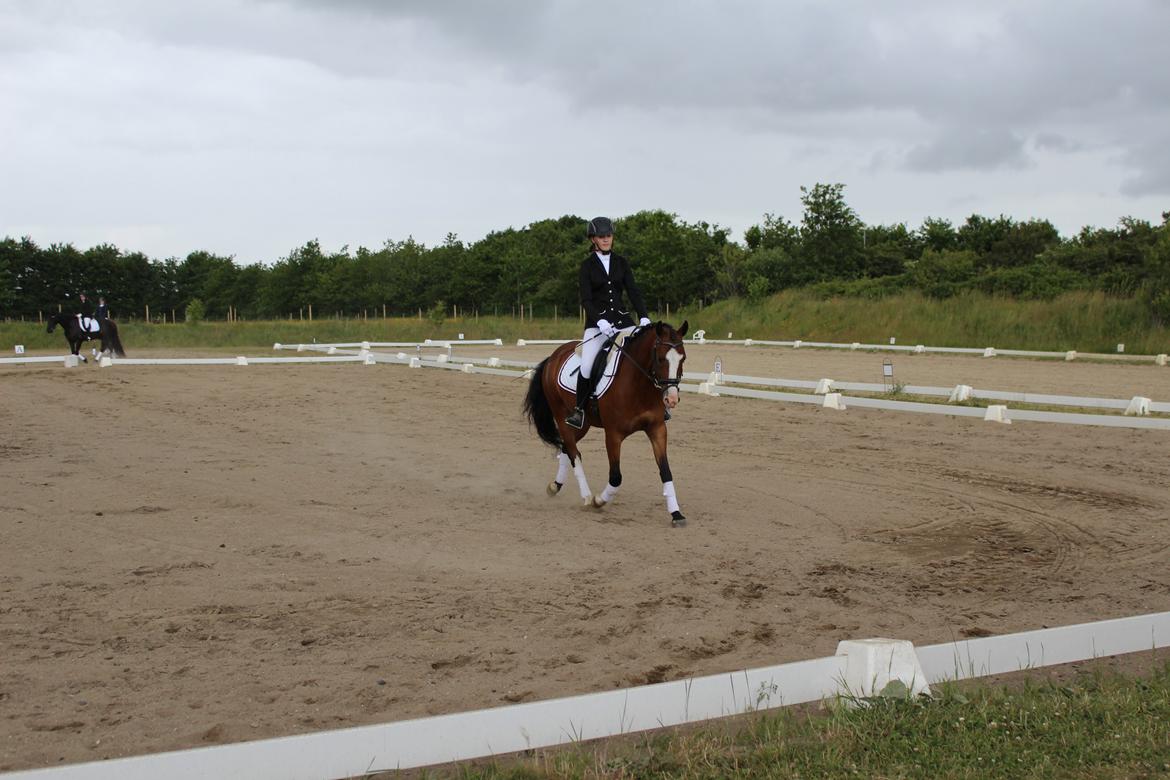 DSP Lassen`s Pay Per View billede 5