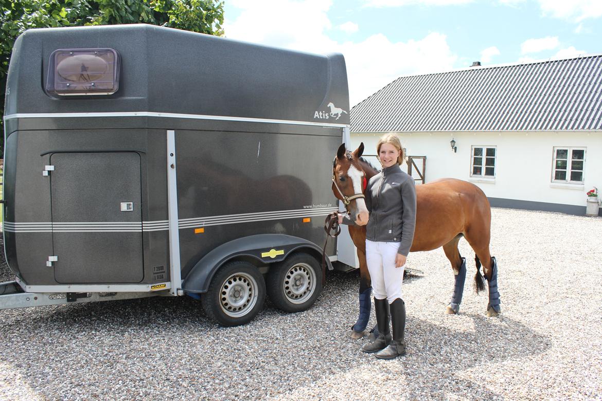 DSP Lassen`s Pay Per View billede 15