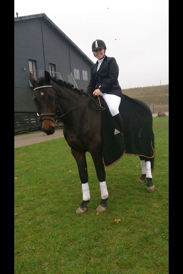 Dansk Varmblod Bøgegårdens Landsriver - Stævne i hvidovre 2013 billede 19