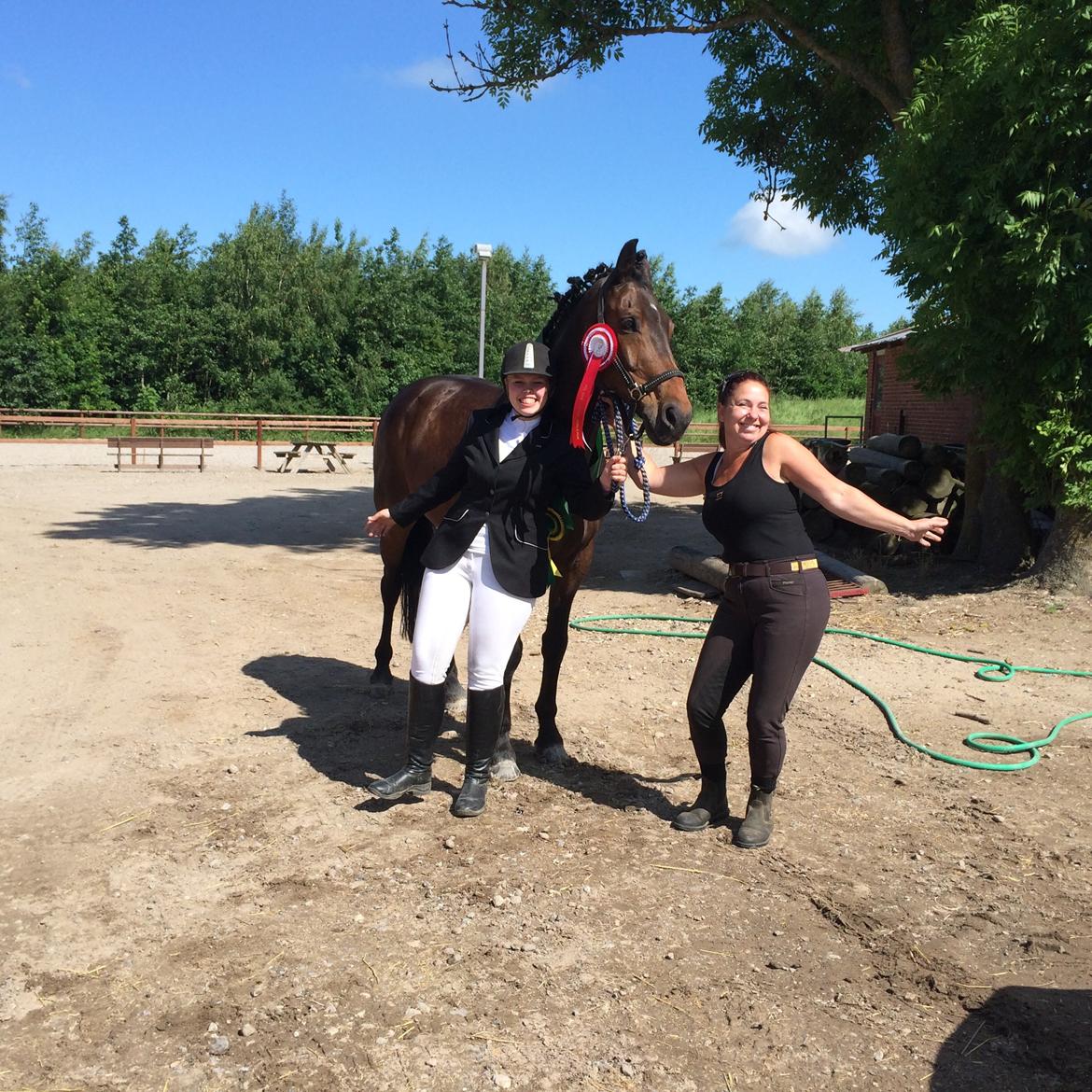 Dansk Varmblod Bøgegårdens Landsriver - fjollebillede <3 billede 21