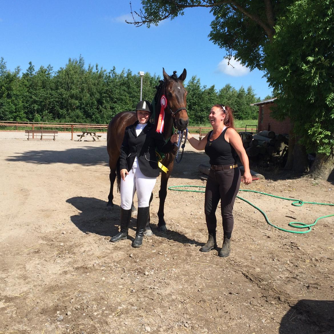 Dansk Varmblod Bøgegårdens Landsriver - dagens griner  billede 22