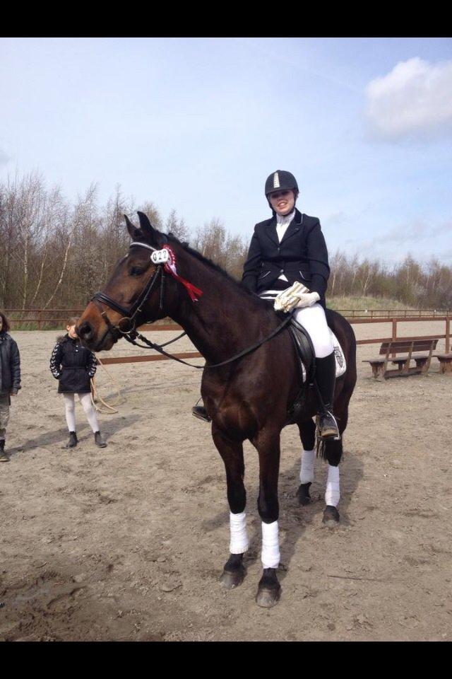 Dansk Varmblod Bøgegårdens Landsriver - River til stævne <3 billede 24