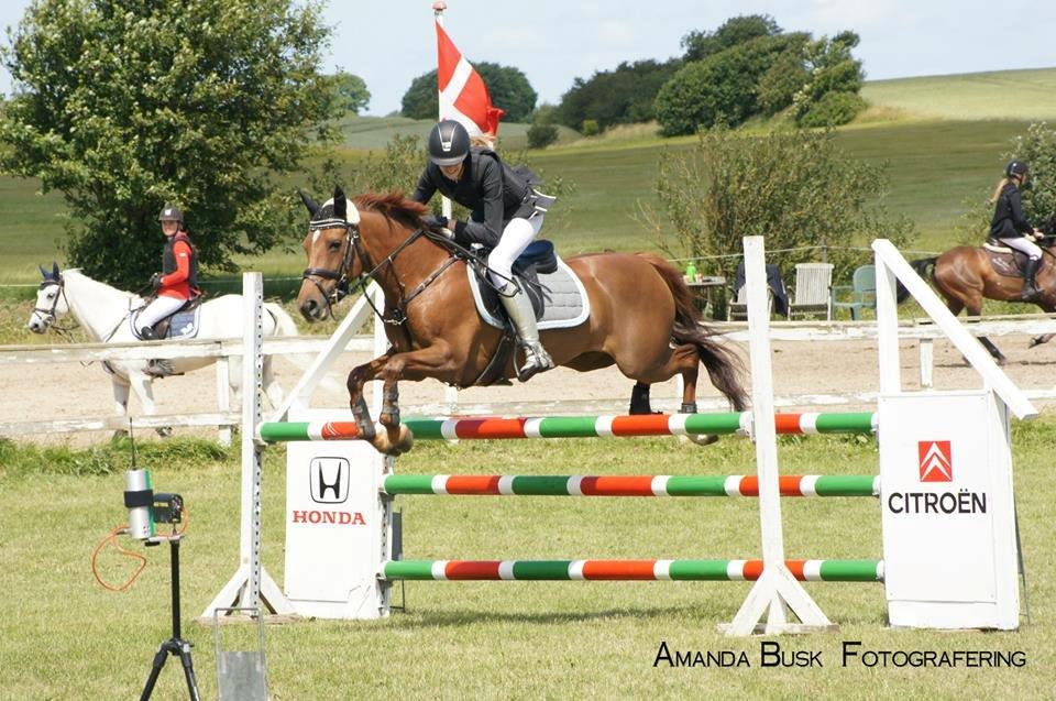 Anden særlig race Clements Penelope - SIdste spring i MB2** og fejlfri!<3  billede 32