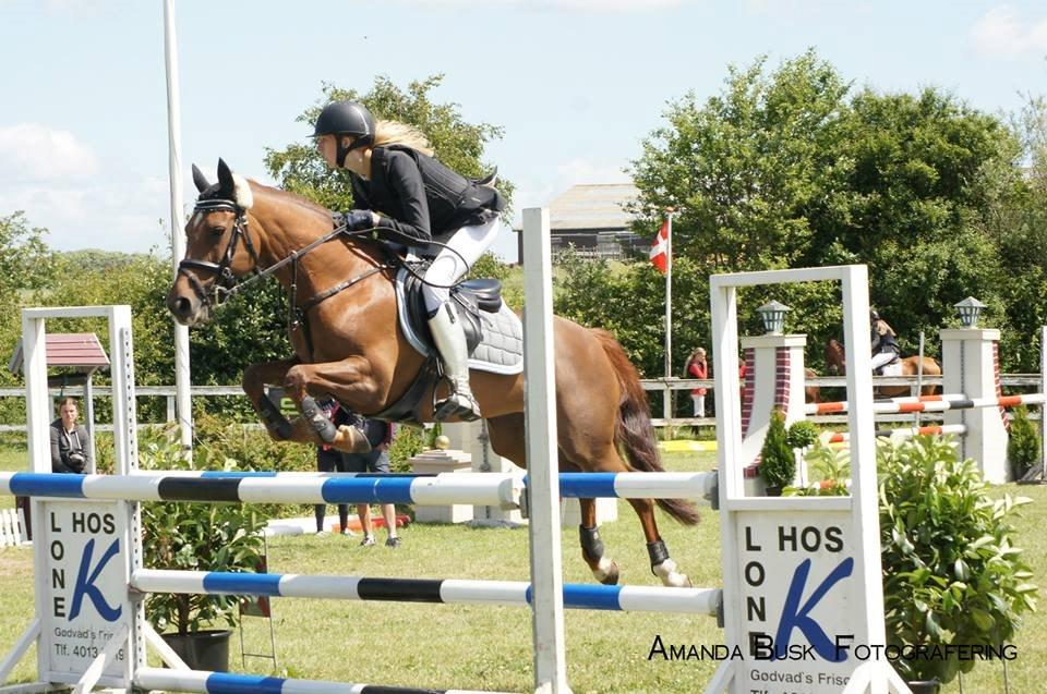 Anden særlig race Clements Penelope - Silkeborg d. 22/6 2014 MB2** billede 1