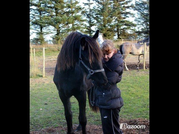 Frieser Oege S billede 8