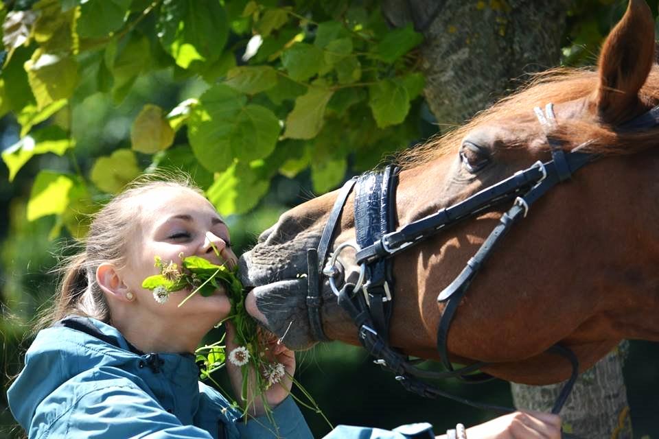 DSP Matthi B Pony! - shoot billede 11