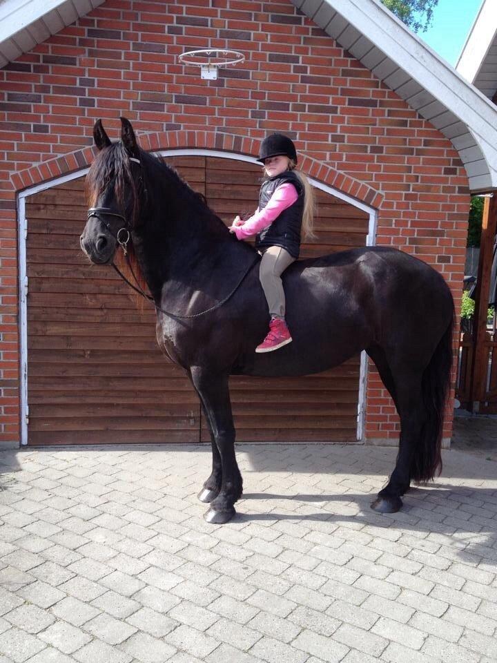 Frieser Olga af Hedegård billede 7