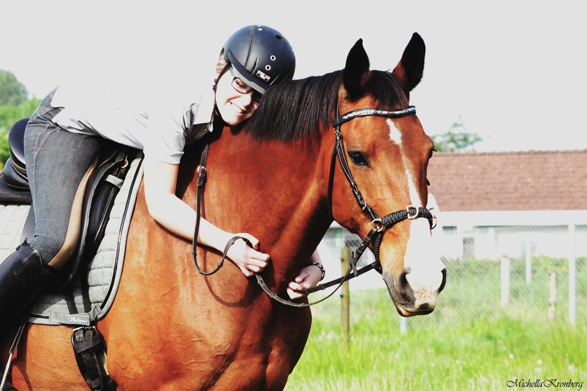 Holstener Costa Rica 32 billede 16