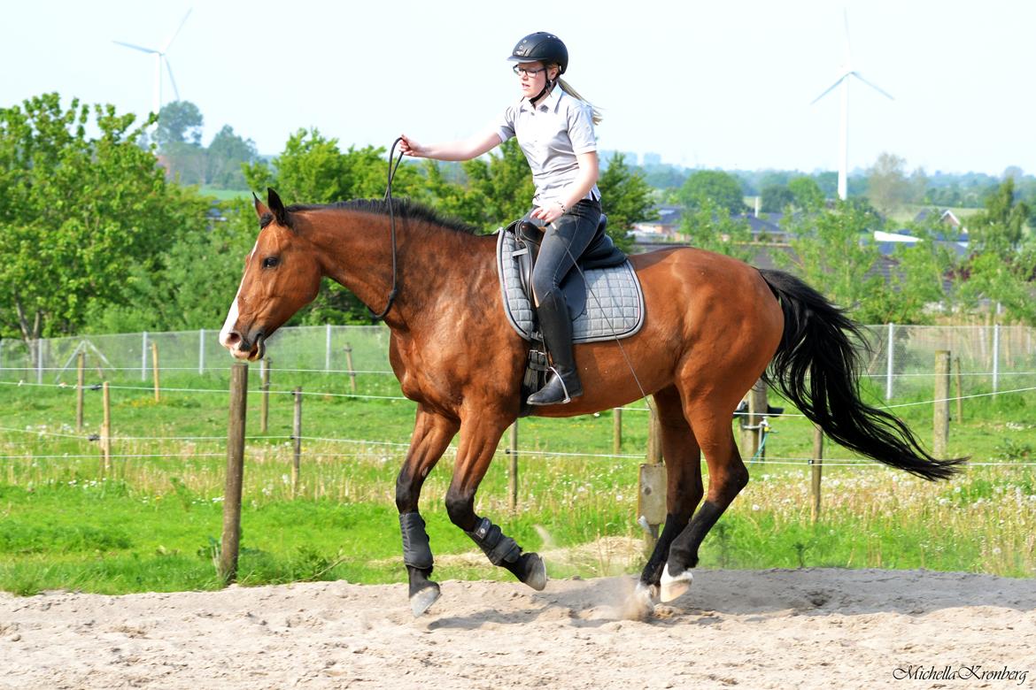 Holstener Costa Rica 32 billede 2