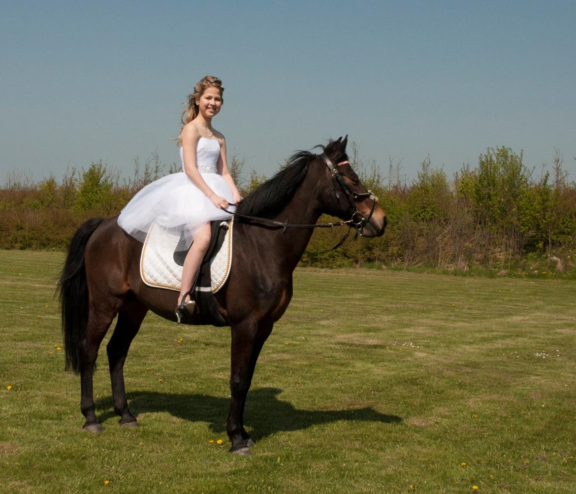 DSP Coco, du vil altid være i mit hjerte <3 billede 7