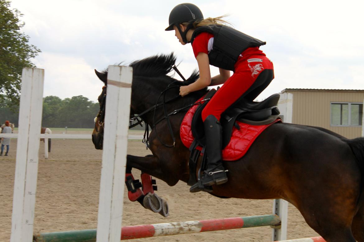 DSP Coco, du vil altid være i mit hjerte <3 billede 15