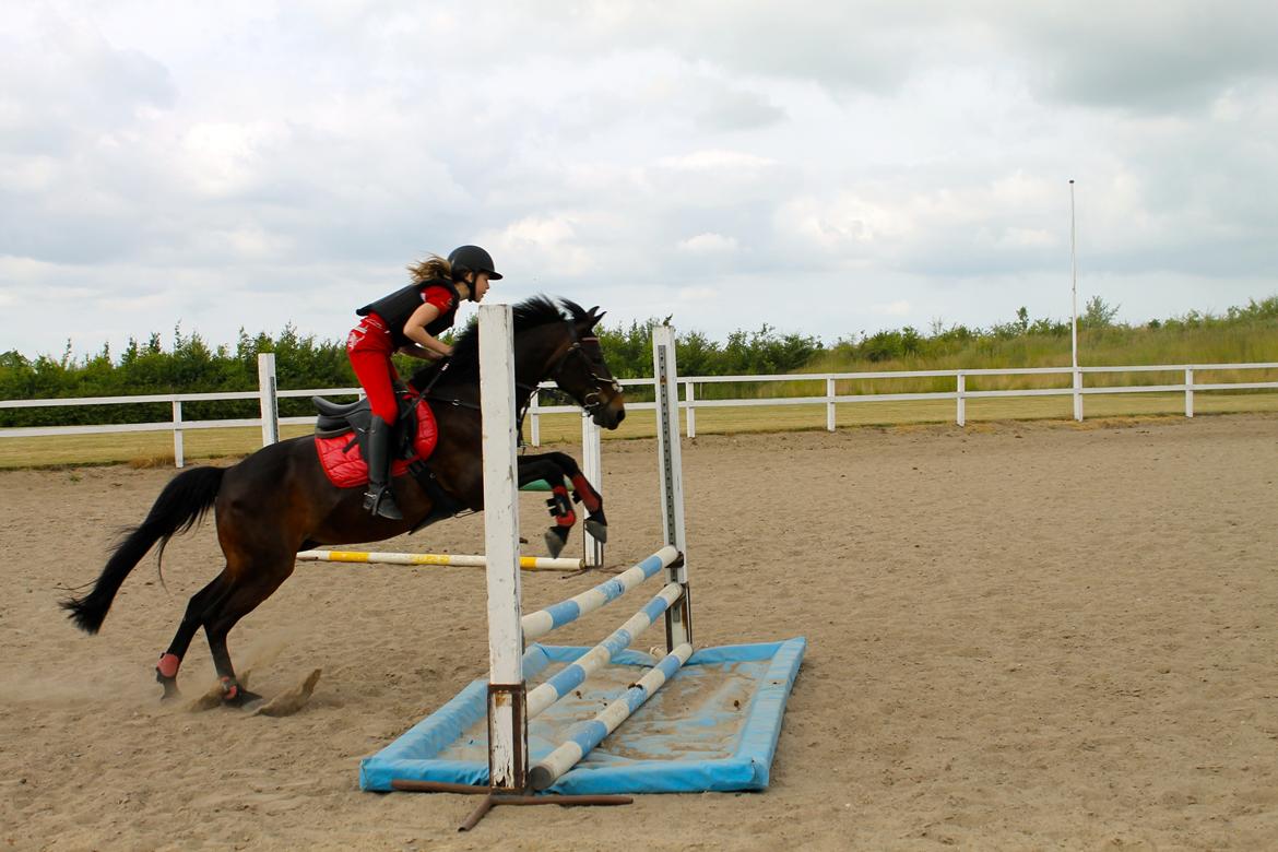 DSP Coco, du vil altid være i mit hjerte <3 - hun fik måske sat, lidt langt af :/ billede 18