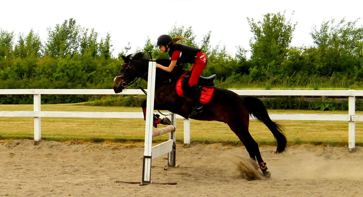 DSP Coco, du vil altid være i mit hjerte <3 billede 19