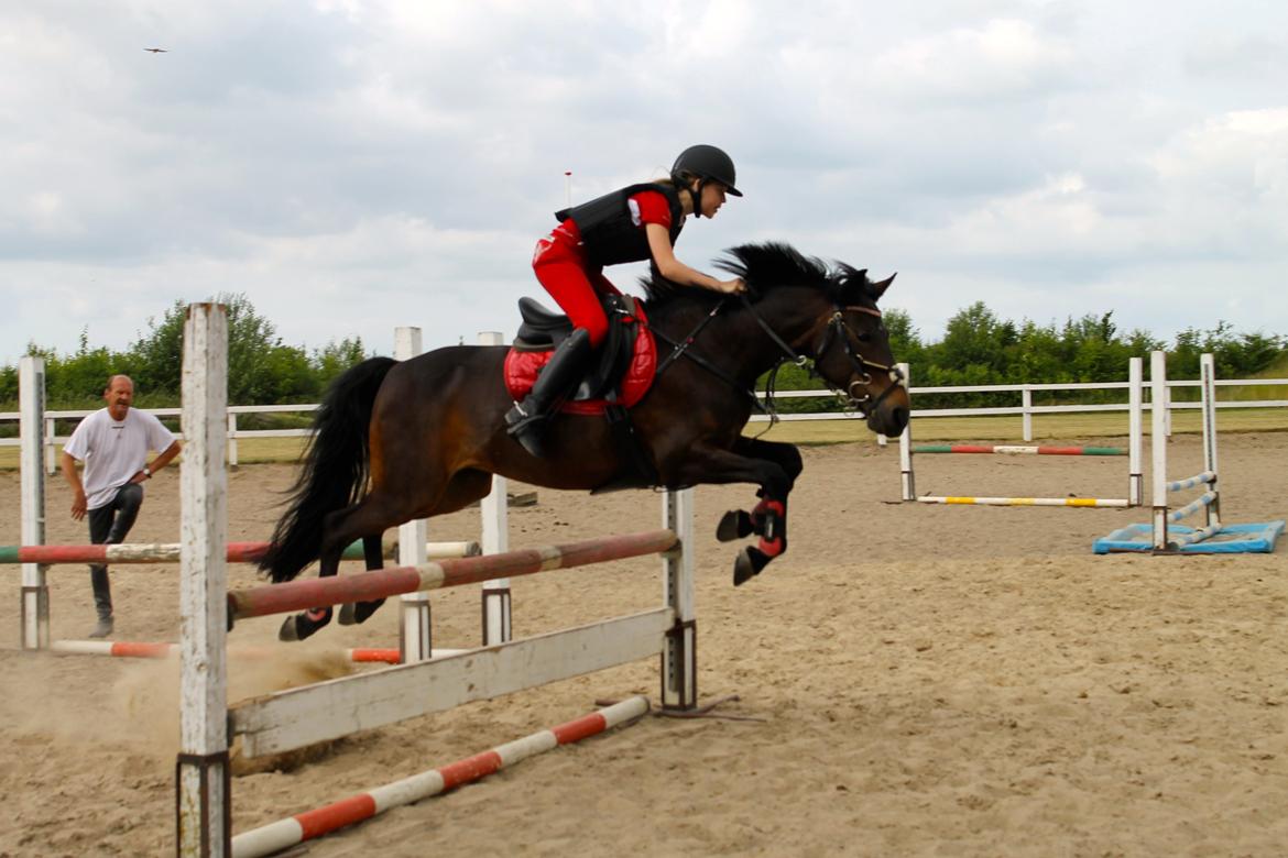 DSP Coco, du vil altid være i mit hjerte <3 billede 20