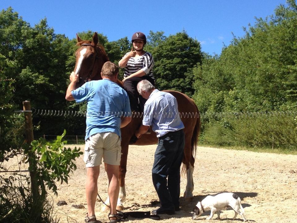 Dansk Varmblod Bøgensmindes Flying Sparkels - Første gang på ryggen af tossen! <3 billede 2
