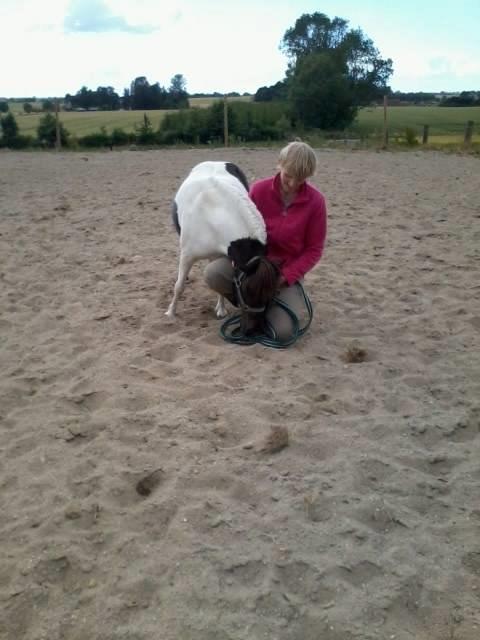 Anden særlig race Victoria billede 14