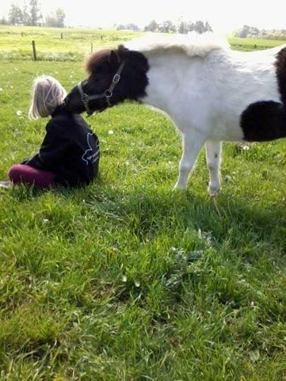 Anden særlig race Victoria billede 1