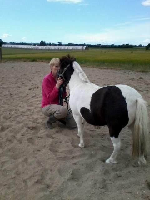 Anden særlig race Victoria billede 18