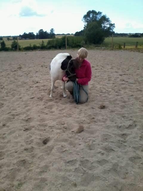 Anden særlig race Victoria billede 19